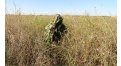 Маскировочный халат Taganrog Кикимора – купить по цене 3550 руб. в интернет-магазине в городе Томск картинка 13