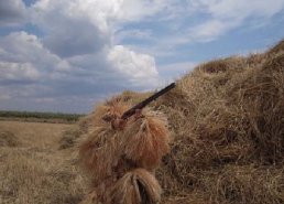 Маскировочная одежда для охоты в интернет-магазине в Томске,  купить маскировочную сеть с доставкой картинка 28